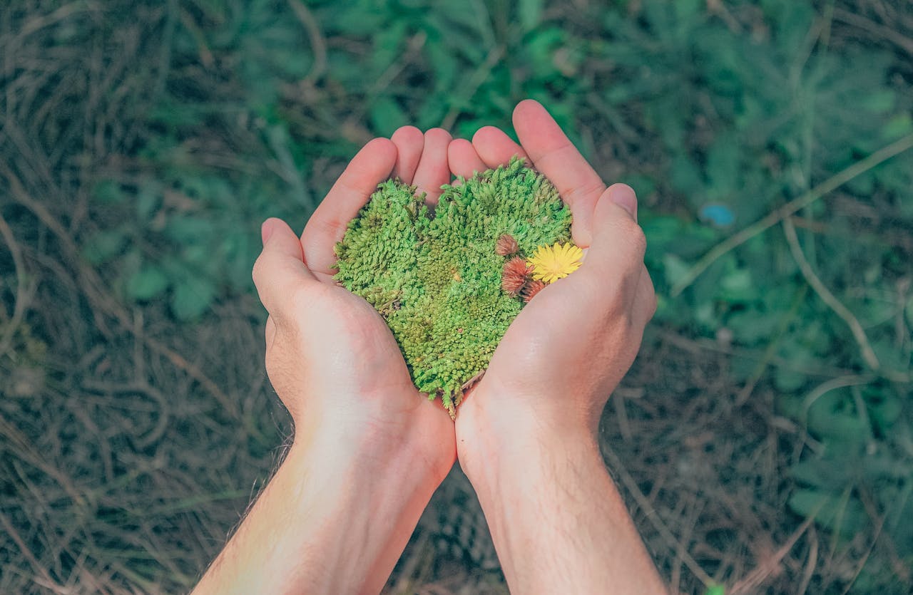 programs-03 Hands in a natural setting holding heart-shaped moss, symbolizing love for nature.