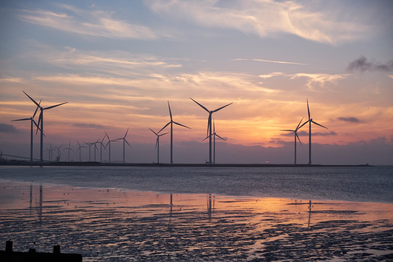programs-04 Wind turbines on the shoreline silhouette against a vibrant sunset, promoting renewable energy.